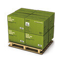 Fast Shipping Options