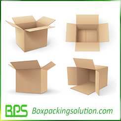 master carton outer look design